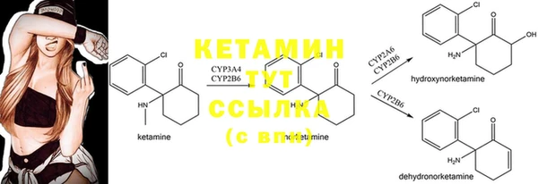 соль ск Алексеевка