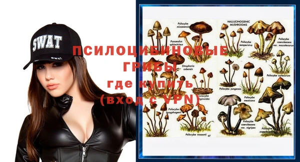 соль ск Алексеевка