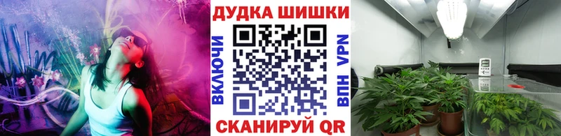 Бошки марихуана план  хочу наркоту  Ковылкино 